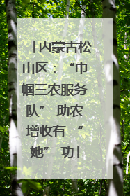 内蒙古松山区：“巾帼三农服务队” 助农增收有 “她” 功