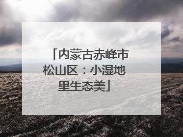内蒙古赤峰市松山区：小湿地里生态美