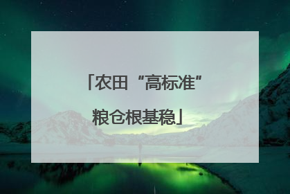 农田“高标准” 粮仓根基稳
