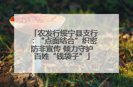 农发行绥宁县支行：“点面结合”织密防非宣传 倾力守护百姓“钱袋子”