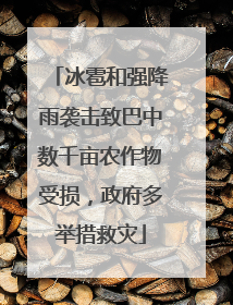 冰雹和强降雨袭击致巴中数千亩农作物受损，政府多举措救灾