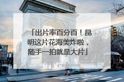 出片率百分百！昆明这片花海美炸啦，随手一拍就是大片