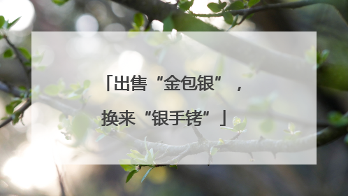 出售“金包银”，换来“银手铐”