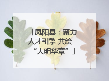 凤阳县：聚力人才引擎 共绘“大明华章”