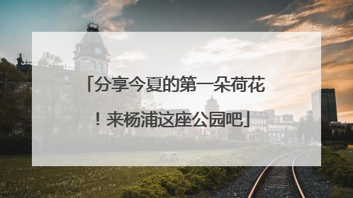 分享今夏的第一朵荷花！来杨浦这座公园吧
