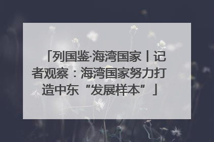 列国鉴·海湾国家丨记者观察：海湾国家努力打造中东“发展样本”
