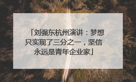 刘强东杭州演讲：梦想只实现了三分之一，坚信永远是青年企业家