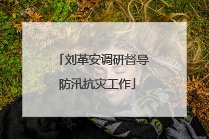 刘革安调研督导防汛抗灾工作