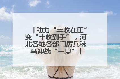 助力“丰收在田”变“丰收到手”，河北各地各部门厉兵秣马迎战“三夏”