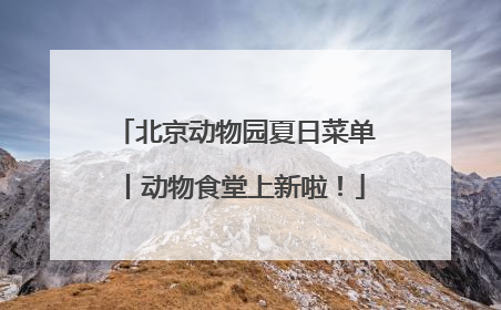 北京动物园夏日菜单丨动物食堂上新啦！