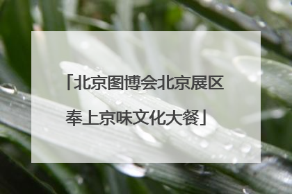 北京图博会北京展区奉上京味文化大餐