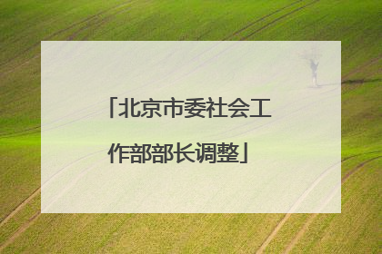 北京市委社会工作部部长调整