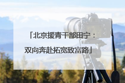 北京援青干部田宁：双向奔赴拓宽致富路