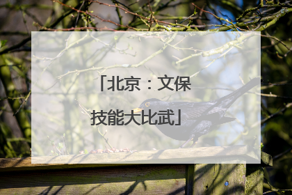 北京：文保技能大比武