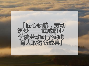 匠心领航，劳动筑梦——武威职业学院劳动研学实践育人取得新成果