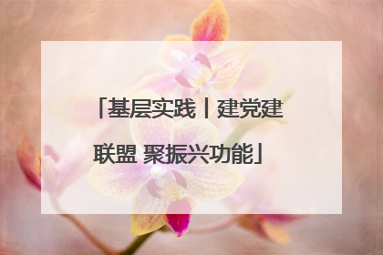 基层实践丨建党建联盟 聚振兴功能
