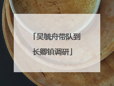吴毓舟带队到长卿镇调研