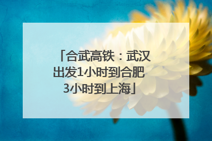 合武高铁：武汉出发1小时到合肥3小时到上海