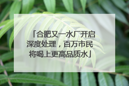合肥又一水厂开启深度处理，百万市民将喝上更高品质水