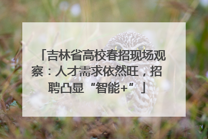 吉林省高校春招现场观察：人才需求依然旺，招聘凸显“智能+”