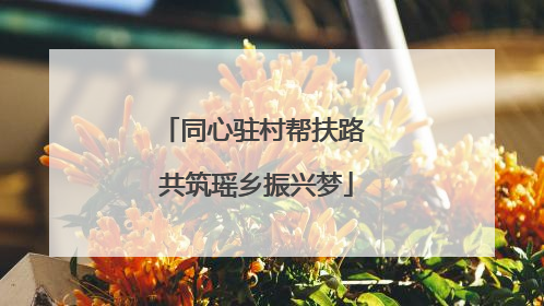 同心驻村帮扶路 共筑瑶乡振兴梦