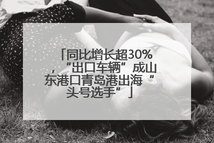 同比增长超30%，“出口车辆”成山东港口青岛港出海“头号选手”