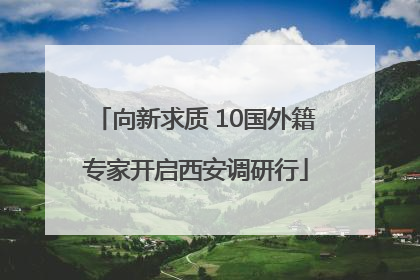 向新求质 10国外籍专家开启西安调研行