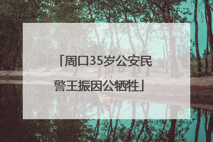 周口35岁公安民警王振因公牺牲