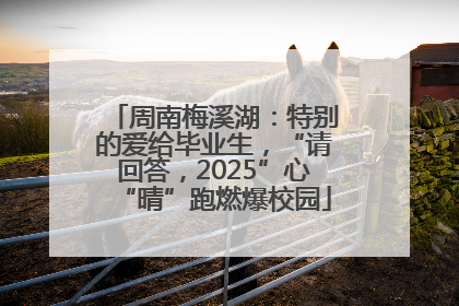 周南梅溪湖：特别的爱给毕业生，“请回答，2025”心“晴”跑燃爆校园