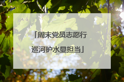 周末党员志愿行 巡河护水显担当
