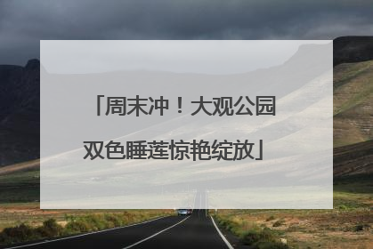 周末冲！大观公园双色睡莲惊艳绽放