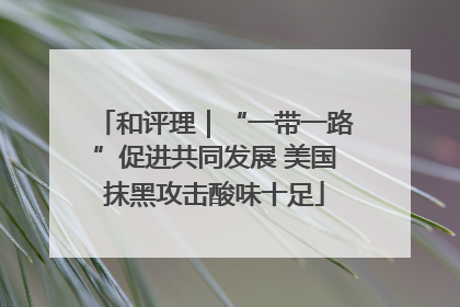 和评理｜“一带一路”促进共同发展 美国抹黑攻击酸味十足