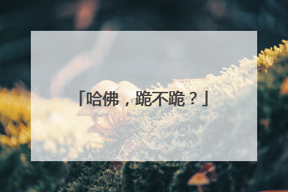 哈佛，跪不跪？