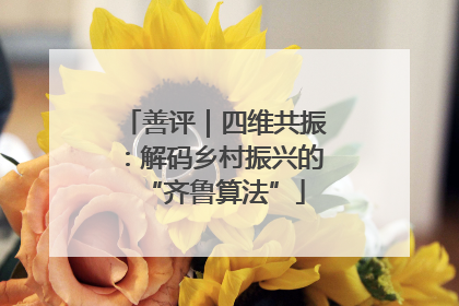 善评｜四维共振：解码乡村振兴的“齐鲁算法”