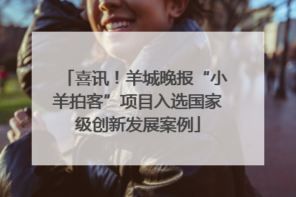 喜讯！羊城晚报“小羊拍客”项目入选国家级创新发展案例