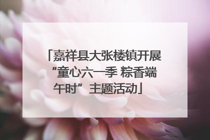 嘉祥县大张楼镇开展“童心六一季 粽香端午时”主题活动