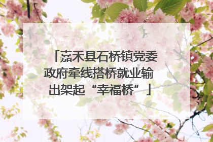 嘉禾县石桥镇党委政府牵线搭桥就业输出架起“幸福桥”