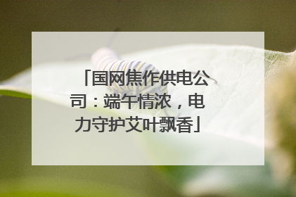 国网焦作供电公司：端午情浓，电力守护艾叶飘香