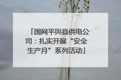 国网平舆县供电公司：扎实开展“安全生产月”系列活动