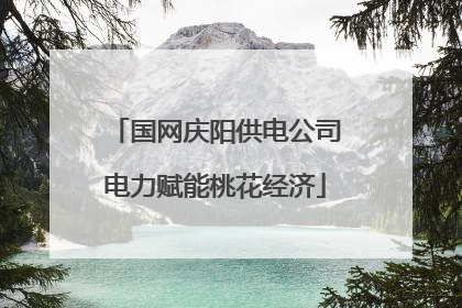 国网庆阳供电公司电力赋能桃花经济