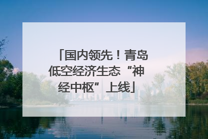 国内领先！青岛低空经济生态“神经中枢”上线