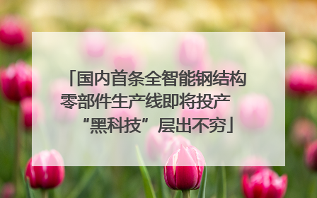 国内首条全智能钢结构零部件生产线即将投产 “黑科技”层出不穷
