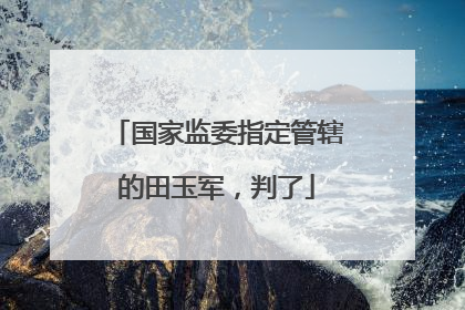 国家监委指定管辖的田玉军，判了