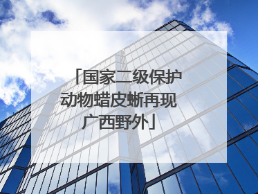 国家二级保护动物蜡皮蜥再现广西野外