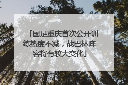 国足重庆首次公开训练热度不减，战巴林阵容将有较大变化
