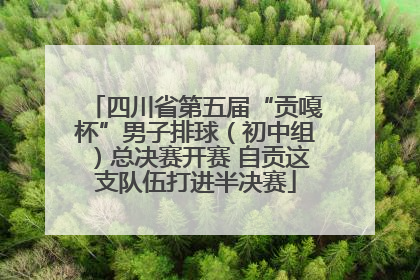 四川省第五届“贡嘎杯”男子排球（初中组）总决赛开赛 自贡这支队伍打进半决赛