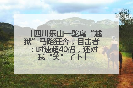 四川乐山一鸵鸟“越狱”马路狂奔，目击者：时速超40码，还对我“笑”了下