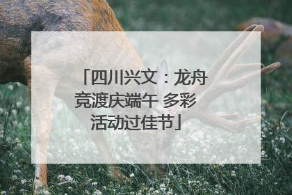 四川兴文：龙舟竞渡庆端午 多彩活动过佳节