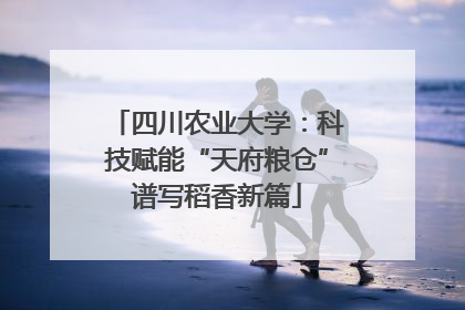 四川农业大学：科技赋能“天府粮仓”谱写稻香新篇