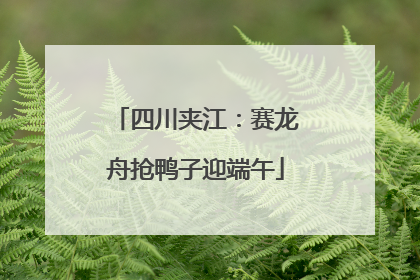 四川夹江：赛龙舟抢鸭子迎端午